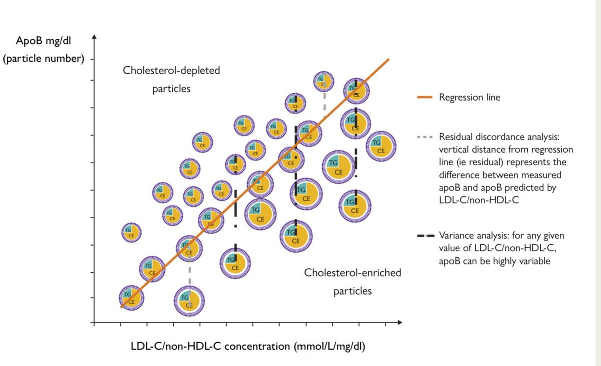 Discordance among apoB, non–HDL, and triglycerides: implications for CV prevention 👉High variability of apoB at individual levels of LDL-C, non-HDL-C, and triglycerides coupled with meaningful differences in 10-year ASCVD rates 👉significant residual information contained in