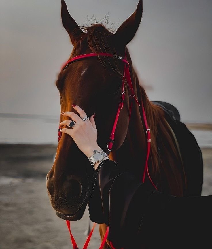 ⠀.. كُل الذِي أوجعني، صنعني ♥️ ⠀