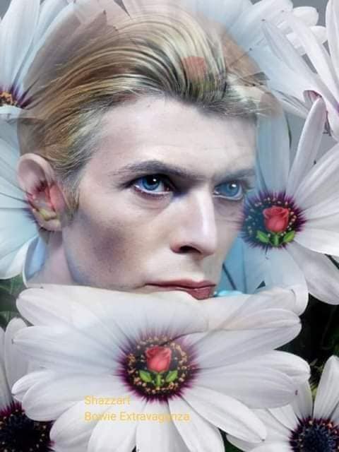 #BowieForever #WackyWednesday #NoMoreWars Be safe Sending love to all Bowie Fam&Friends remember to be kind a smile could change someone's day⚡️🕊️ 
@DavidBowieReal @TheNomiGirl @2006Giuliana @Brooshski @LadySta48470651 @Tzipor336 @Franklyaghost @thenextday13 @TestamentOfDark