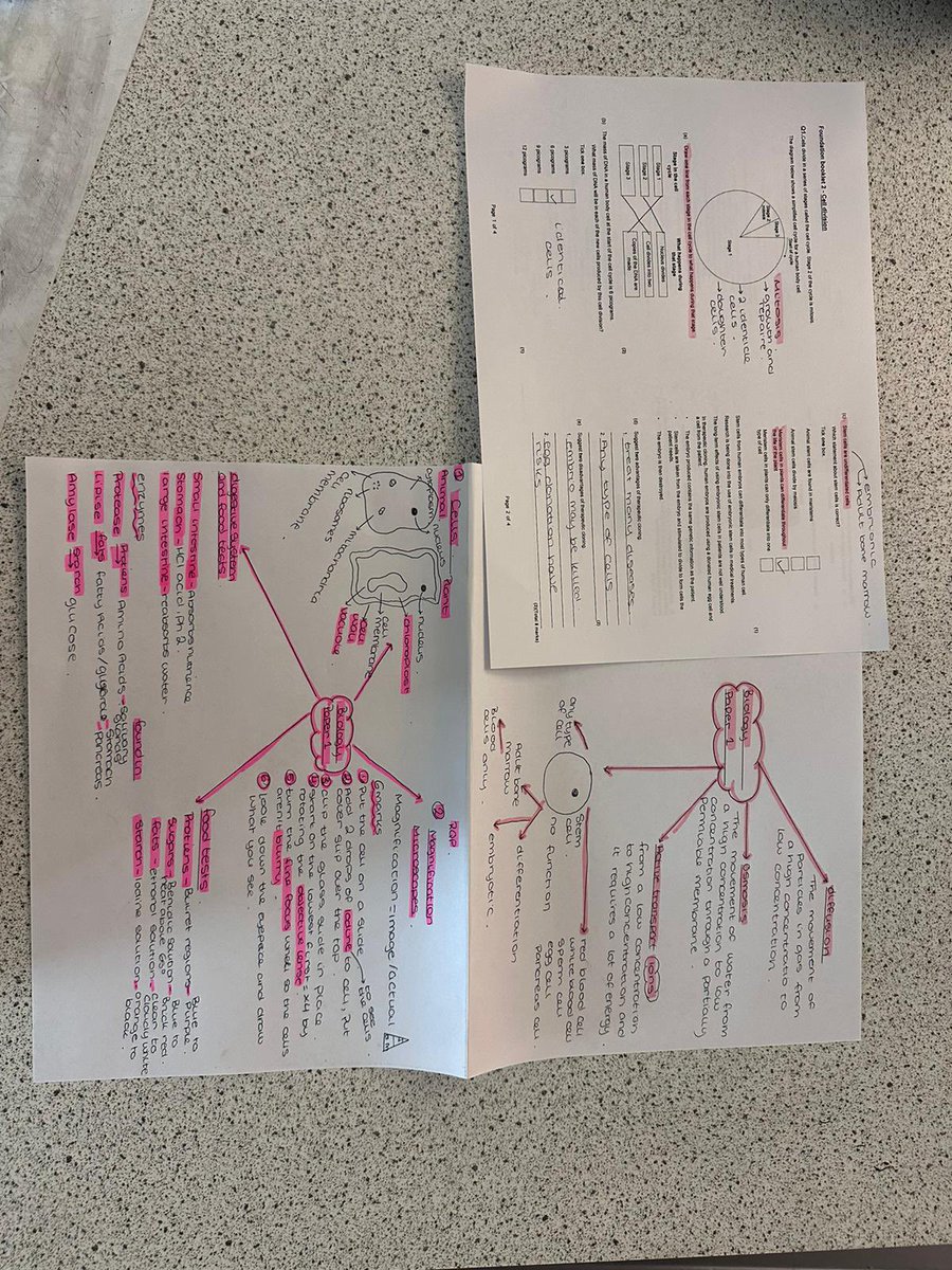 Y11 hard at work revising for their upcoming Biology Exam today!