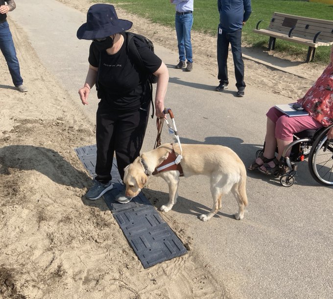 Une personne accompagnée d’un chien d’assistance teste une nouvelle plaque de délimitation.