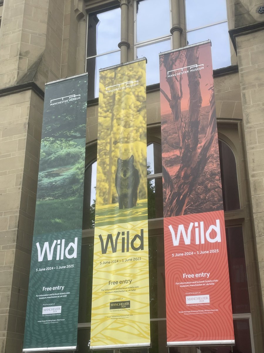 New @McrMuseum exhibition WILD coming soon (5 June) - exploring our relationship with the natural world and how people across the globe are creating, rebuilding and repairing connections with nature. museum.manchester.ac.uk/event/wild/