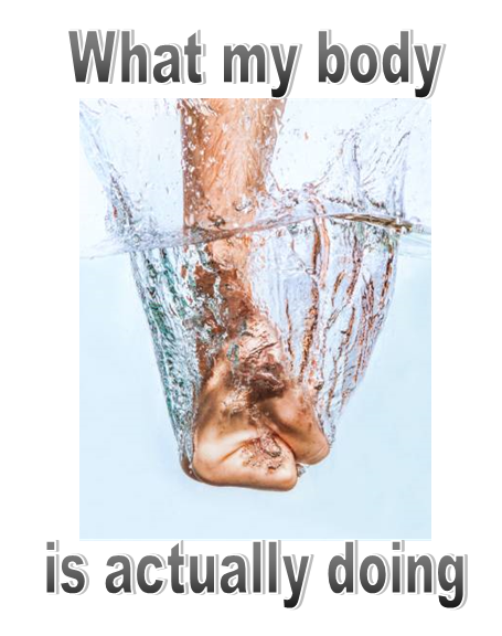 SilentGeminiMC's tweet photo. Have you ever pretended to be a water bender in the bath/shower or is it just me?...just me? That's fine, I just want you to remember this when the water nation attacks.
#RealWaterBender #WaterNation #AvatarTheLastAirbender #showerthoughts https://t.co/FpKaOpmMrd