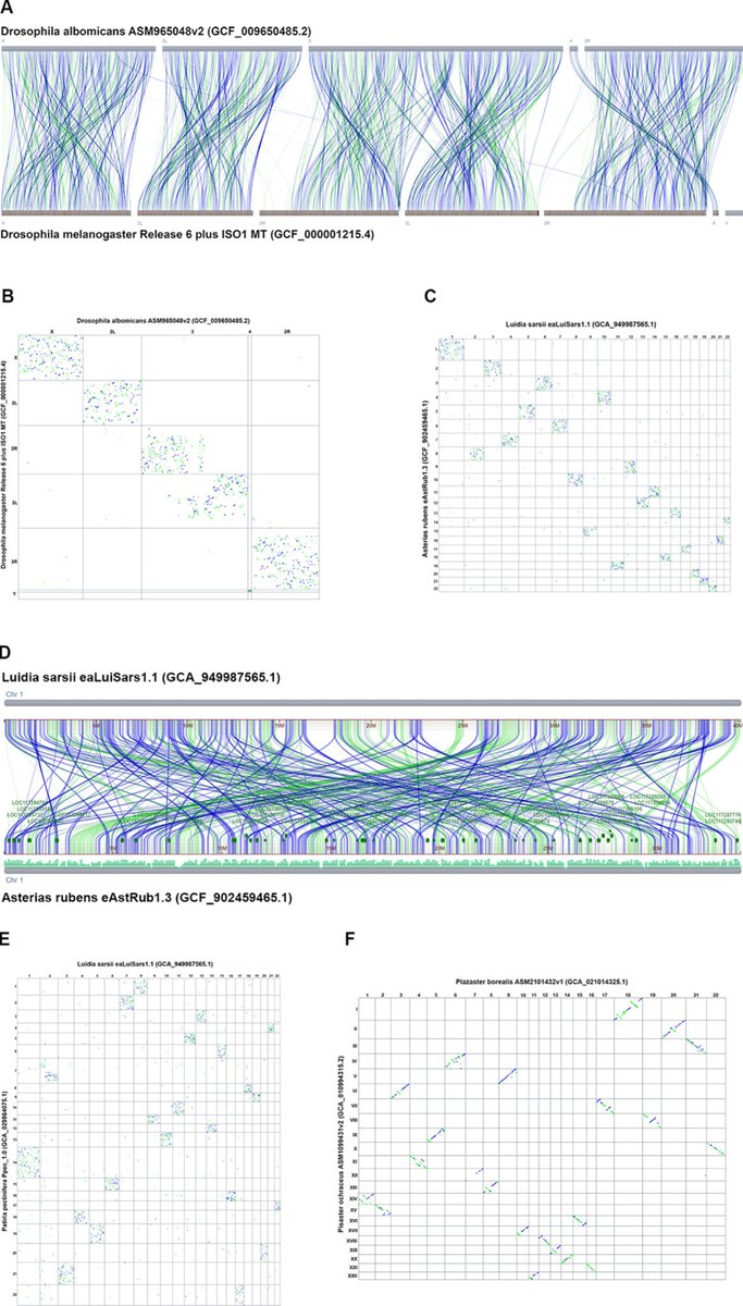 Comparative Genome Viewer: whole-genome eukaryotic alignments journals.plos.org/plosbiology/ar…