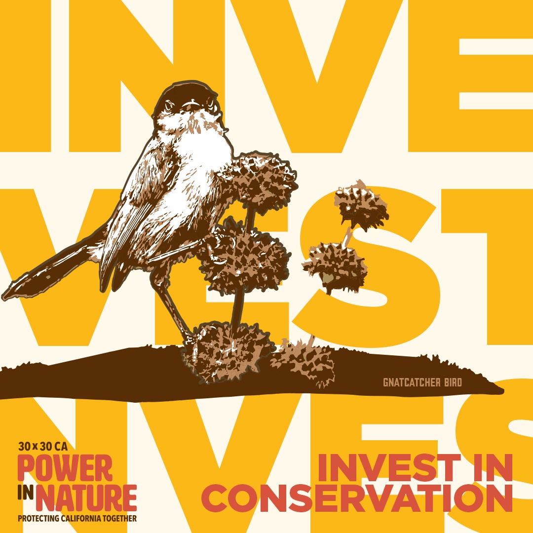 .@CAgovernor—over 100 groups urge you to fund the 43 projects pending at @CaliforniaWCB! To meet the state's #30x30CA goals for #conservation, #biodiversity, & #climateaction, we can't wait. Sudden funding delays will cause these projects to fail, halting CA's climate progress.