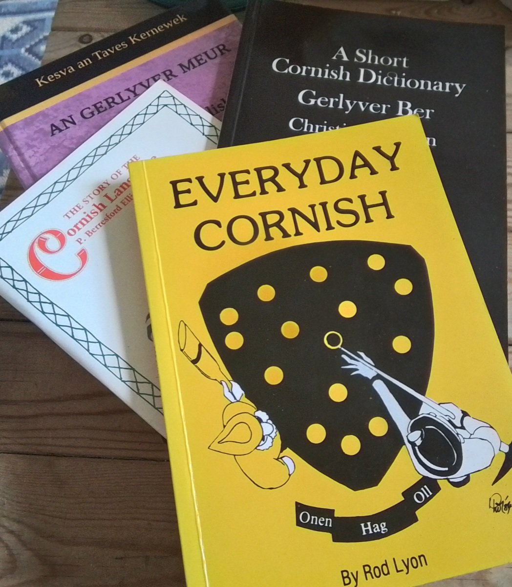 @an_sows I do have a Devon/Cornish ancestral family connection and my brother lived in St Ives during the mid-90s so I used to spend a lot of time there. I still have a few Cornish related books from back then which you used to find outside the shops on racks for a couple of quid.