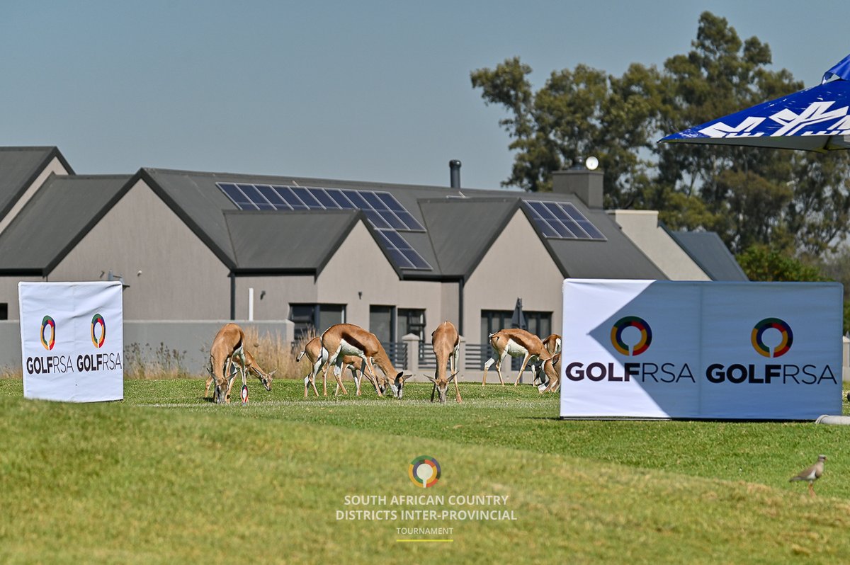 2024 SACD IPT A-SECTION Round 2 RESULTS North West 7 – Mpumalanga 5 Northern Cape 7 – Free State 5 B-Section Bye Heron Banks Golf & River Estate | #golfrsa #itstartshere #teamwork