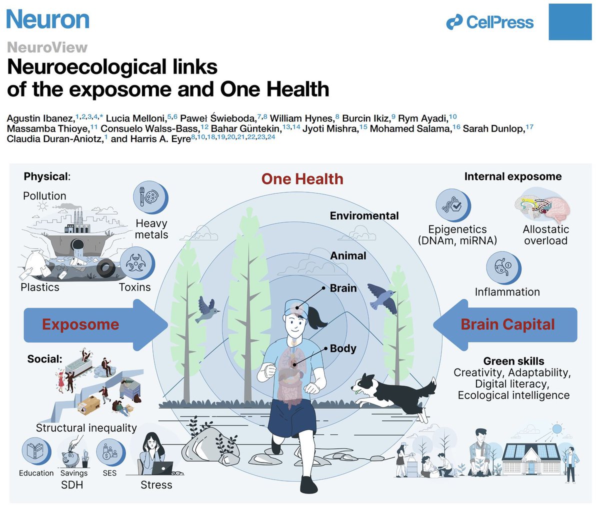 Thrilled to announce our latest publication in @NeuroCellPress where we explore the complex links between brain health, exposomes, and One Health with recommendations for research, public policy and technology: authors.elsevier.com/c/1j35A3BtfH9A… #NeuroClimateWorkingGroup