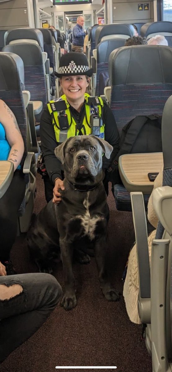 PC Bruton and McGuire were undertaking train patrols between #Norwich and #Colchester when they came across a small horse on board the train. 
He was such a lovely and friendly dog 🐕 
#VIAWG
#GreaterAnglia