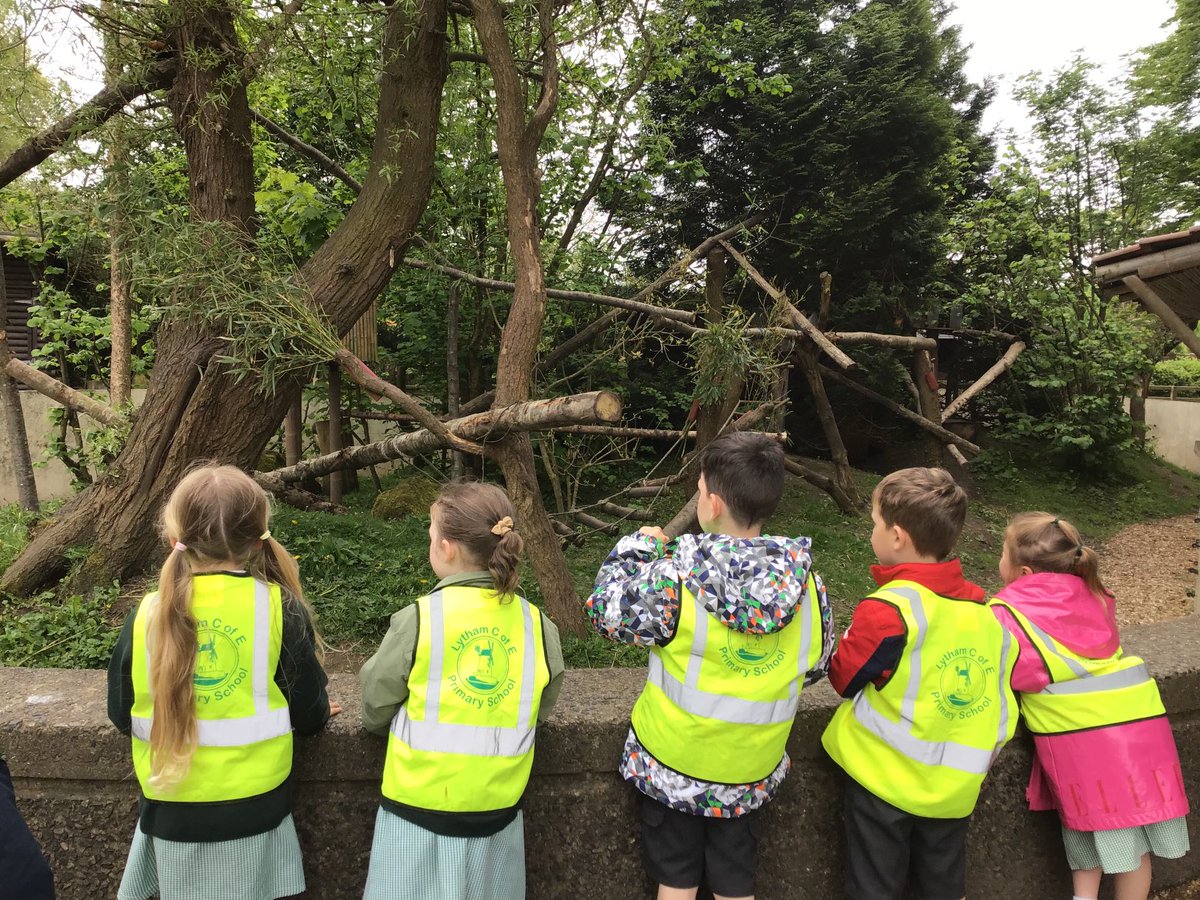 Lytham CE Primary School (@lytham_ce) on Twitter photo Our Reception children visited Blackpool Zoo today! It was such a fantastic day! <a href="/BlackpoolZoo/">Blackpool Zoo</a> Our Reception children visited Blackpool Zoo today! It was such a fantastic day! <a href="/BlackpoolZoo/">Blackpool Zoo</a>