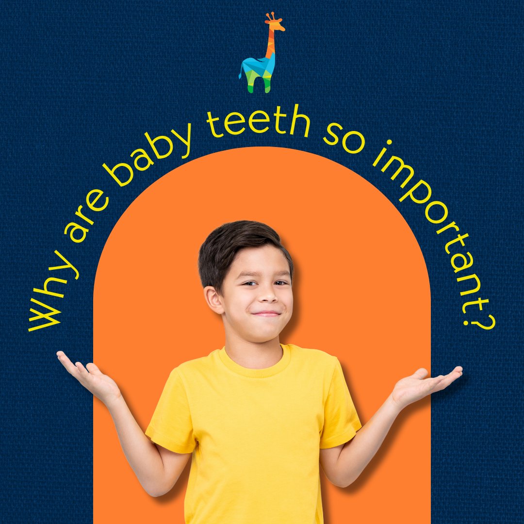 Baby teeth are important for:

👉 proper chewing and eating
👉 providing space for permanent teeth and guiding them into position
👉 permitting normal development of the jawbones and muscles

That's why it's important to keep them clean and healthy! ✨

#PediatricDentistry