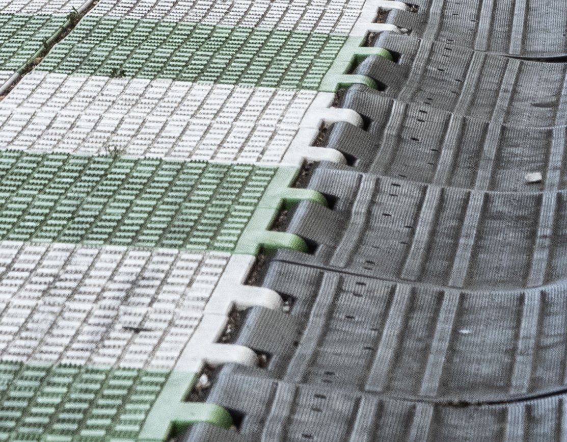 Charlotte DOT tweet media