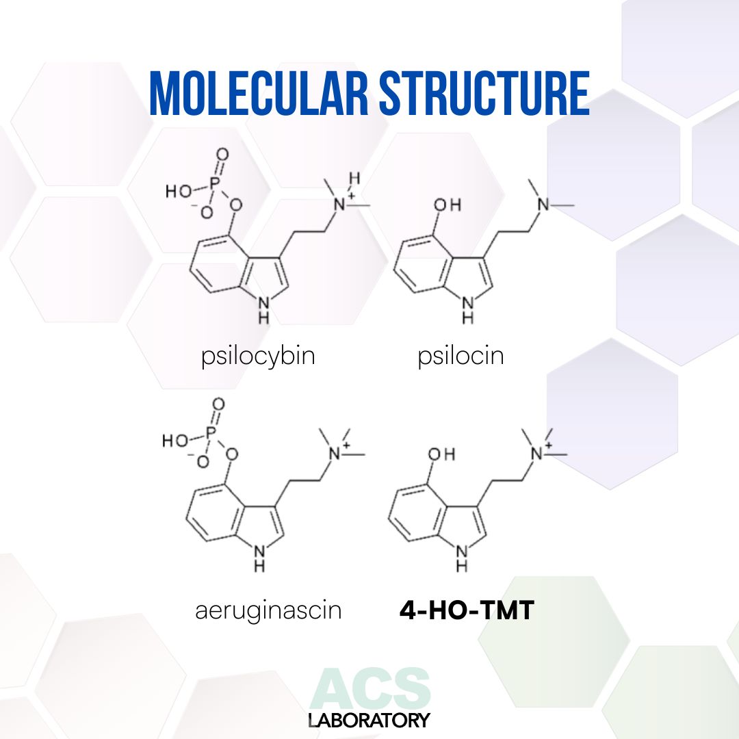 Dive into our blog on 4-HO-TMT, an active metabolite from psilocyb*n mushrooms. 

Could this compound be the key to more reliably “good” psychedelic experiences? acslab.com/mushrooms/4-hy…

#MushroomScience #PsychedelicResearch #ACS#LabTesting #ThirdPartyLab