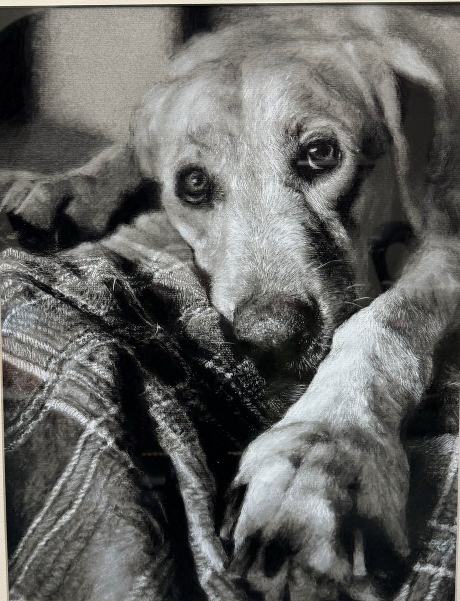 Congratulations to Cole Ritter, an eleventh grader at Southside High School in Youngsville. Cole won our annual Congressional Art Competition. His charcoal drawing “Rocket Lying On The Bed,” will be displayed in the United States Capitol.