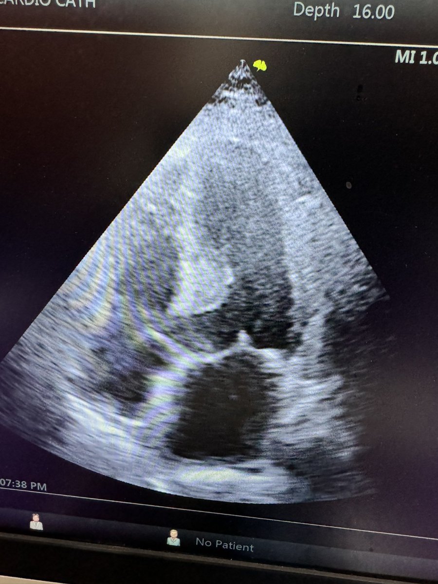 Hany Ragy tweet media