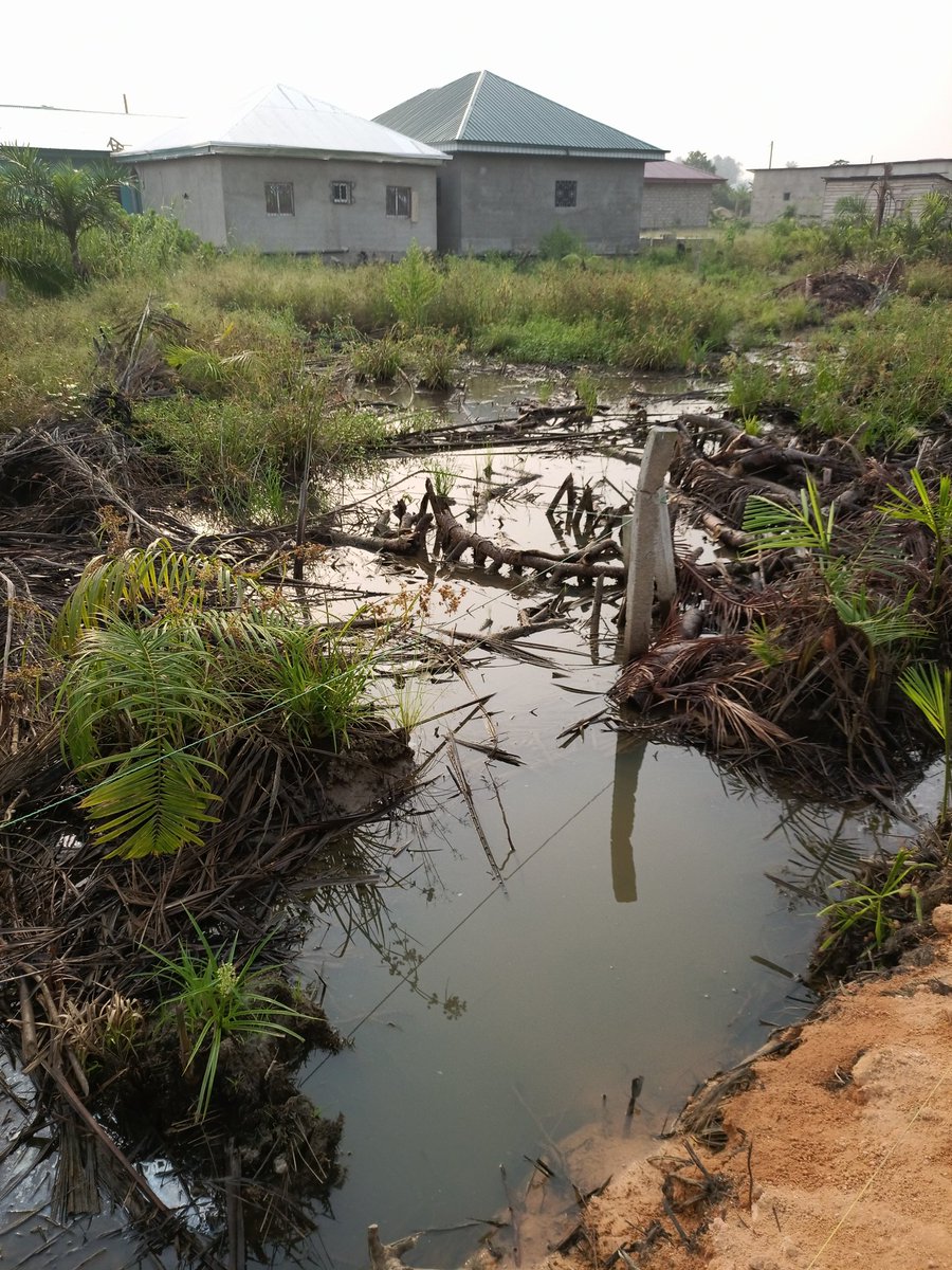 Unplanned urbanization and the variability of climate parameters have undoubtedly contributed to the increase in flooding incidents within sub-Saharan Africa. To confront this looming climate emergency,it is imperative for town planners,policymakers,and communities to collaborate
