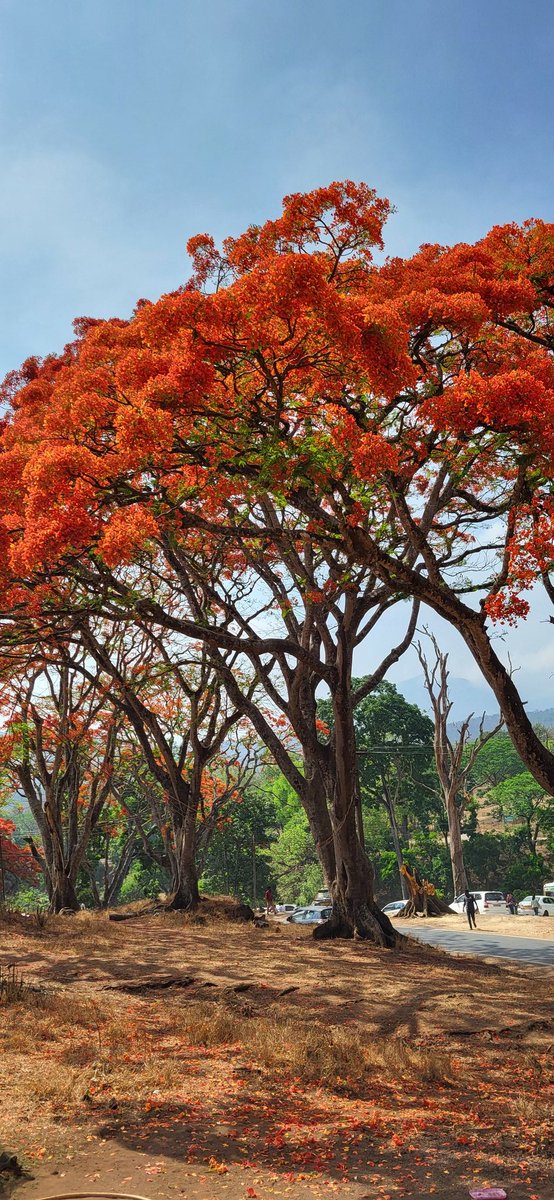 shamnaspkd's tweet image. ശുഭരാത്രി