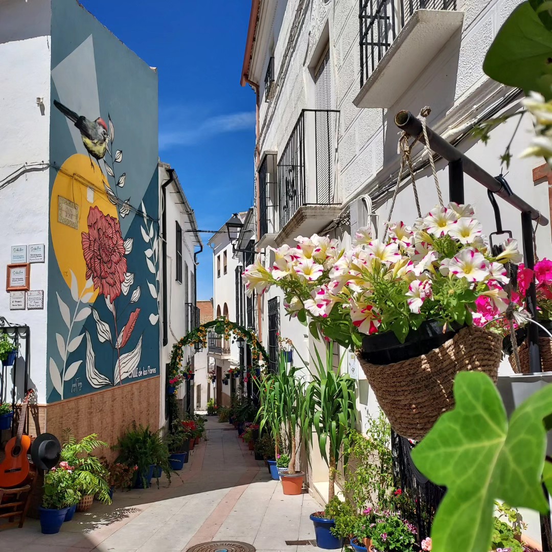 jose27jimenez's tweet photo. La calle Juanita la Larga de #DoñaMencía ha recibido, un año más, el primer premio en la XI edición del Concurso de Patios, Rincones y Fachadas de la Subbética. 

Otro año más, el rincón más bonito de la #Subbética se encuentra en mi pueblo. https://t.co/YoHbs4UJzW