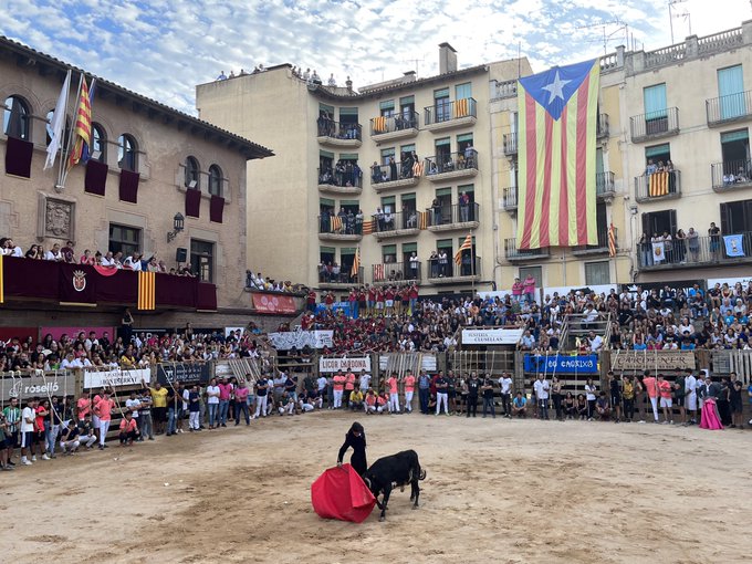 <a href="/ftorodelidia/">Fundación Toro Lidia</a> <a href="/todoesmentiratv/">Todo Es Mentira</a> <a href="/ristomejide/">Risto Mejide</a> ¿En Cataluña prohibido? Qué poco conocen la realidad. Cataluña este verano: