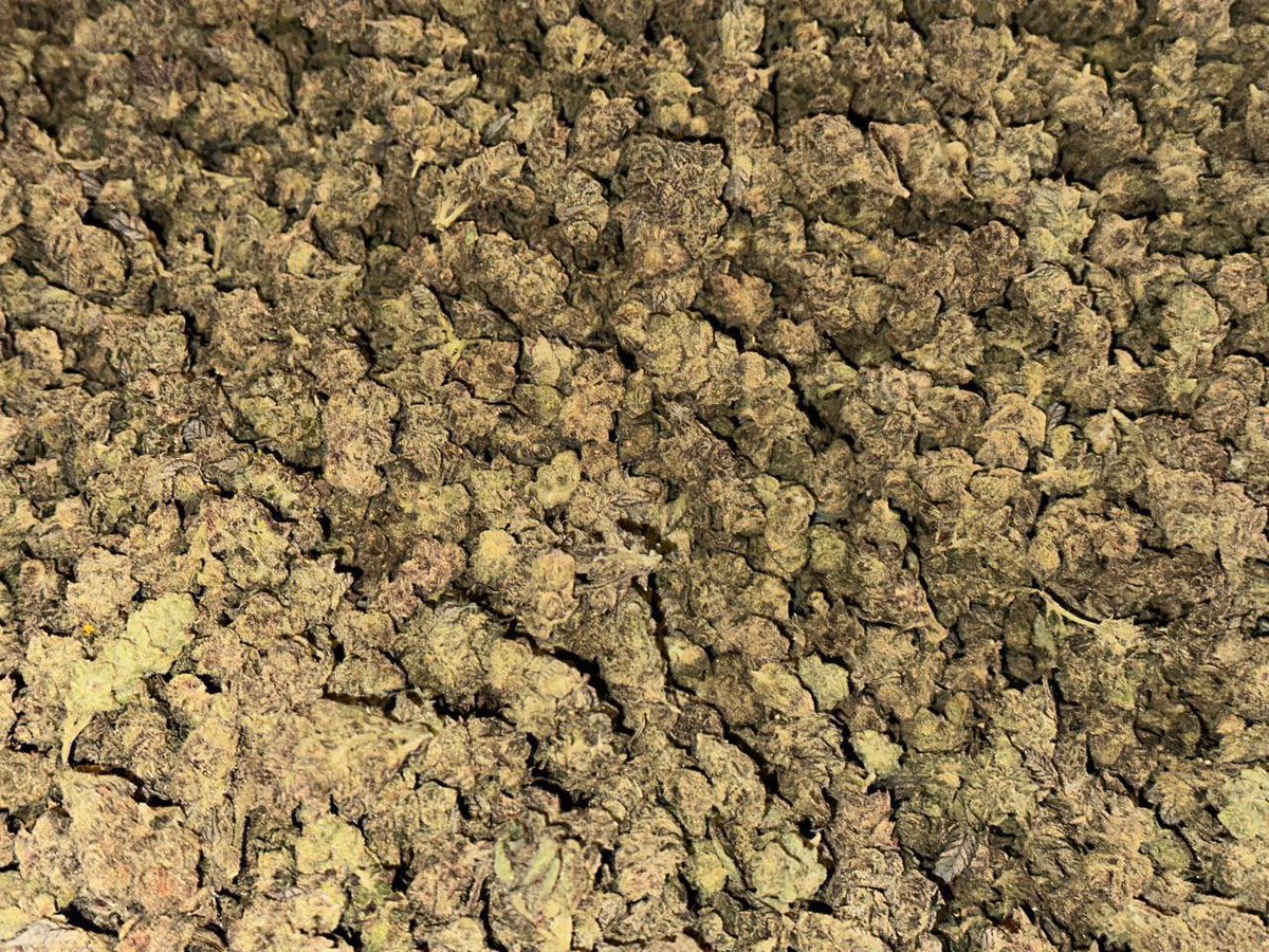 CdcWeedmaster's tweet photo. 成都 重庆 大麻 叶子 THC https://t.co/mOnBzoNucP