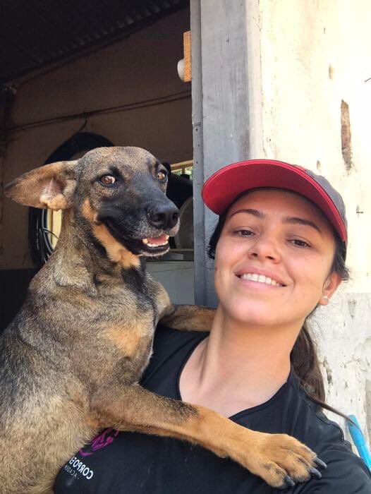 caogonhal's tweet image. Congonhal/MG

Rodolfinho está conosco há cerca de 3 anos. Já está castrado, vacinado, vermifugado e protegido de pulgas e carrapatos.

Tem porte pequeno e é super dócil.

Nos ajude a mudar sua história de abandono. 

Contato para adoção via whatsapp (35)99889-4434