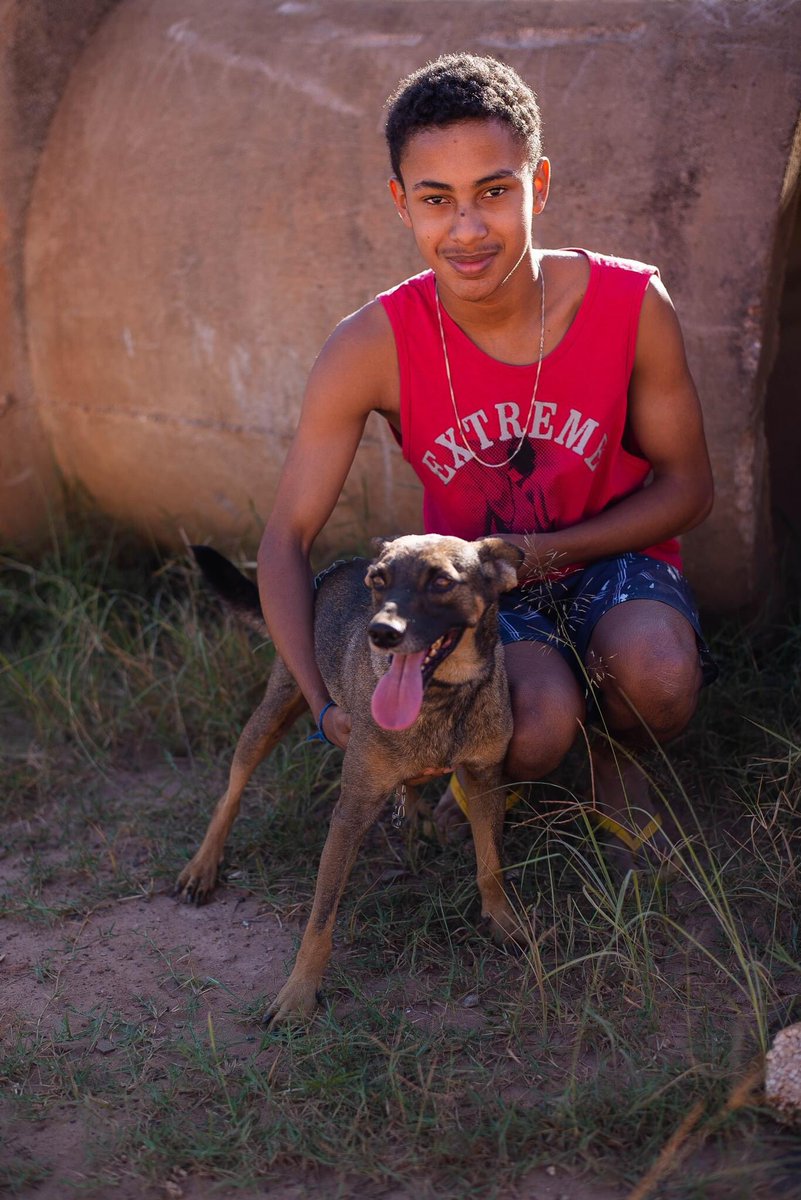 caogonhal's tweet image. Congonhal/MG

Rodolfinho está conosco há cerca de 3 anos. Já está castrado, vacinado, vermifugado e protegido de pulgas e carrapatos.

Tem porte pequeno e é super dócil.

Nos ajude a mudar sua história de abandono. 

Contato para adoção via whatsapp (35)99889-4434