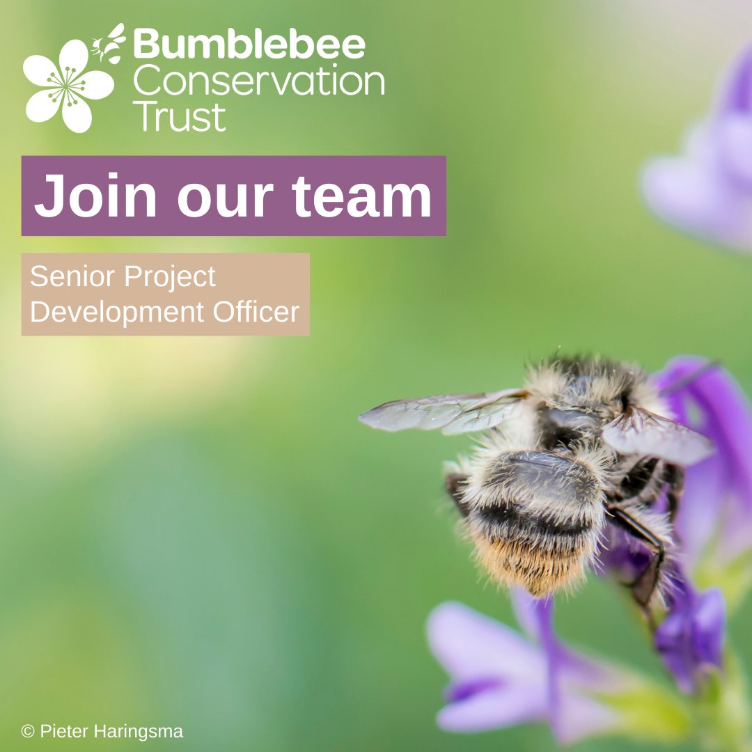 We are looking for a Senior Project Development Officer to secure funding and develop projects to help us deliver our strategic goals 🐝 🕒 Full-time, permanent position 📍 Home-based/the Trust’s Stirling office 📅 24 May Full details 👉🏽 ow.ly/W4NZ50RnUpu