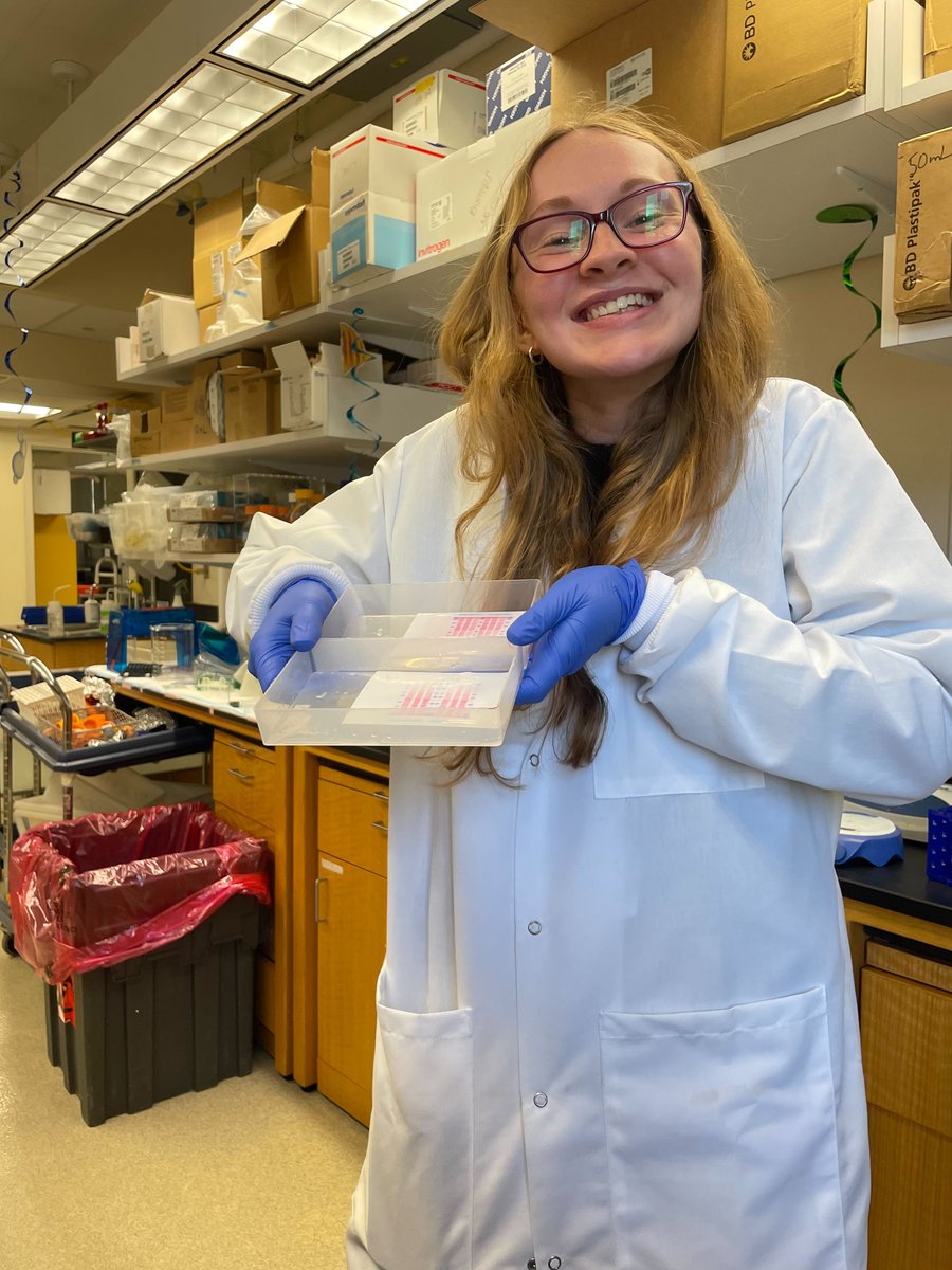 BlacklowLab (@blacklowlab) on Twitter photo The Blacklow lab welcomes visiting grad student, Rhiannon Moss, who joins from the University of Birmingham for the semester. Fun Fact: she did not hear the song “Rhiannon” before joining the lab! <a href="/rhiannonmoss5/">Rhiannon Moss</a> The Blacklow lab welcomes visiting grad student, Rhiannon Moss, who joins from the University of Birmingham for the semester. Fun Fact: she did not hear the song “Rhiannon” before joining the lab! <a href="/rhiannonmoss5/">Rhiannon Moss</a>