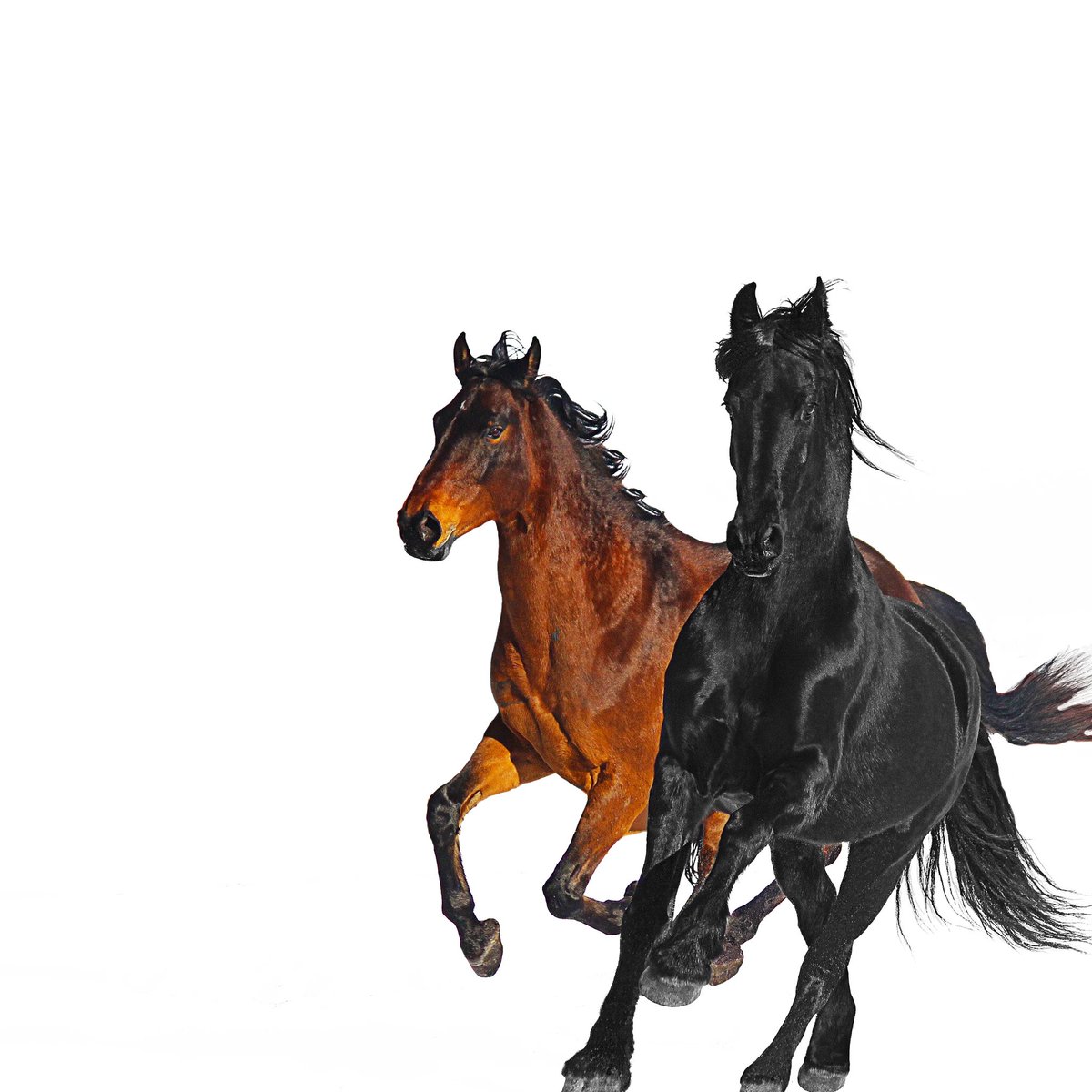 Old Town Road ft. Billy Ray Cyrus Out this Friday !