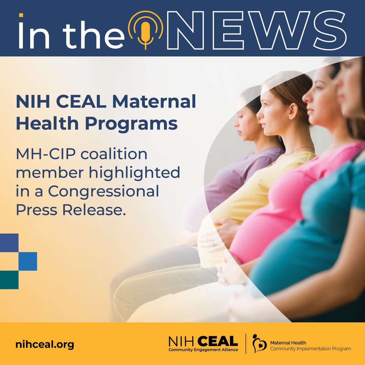 MH-CIP coalition member and student at @TulaneSPHTM, Denys Symonette Mitchell, was featured in a press release announcing the introduction of the @NIH IMPROVE Act that would ensure continued funding for #MaternalHealth research. Read the press release: bit.ly/4b586jk