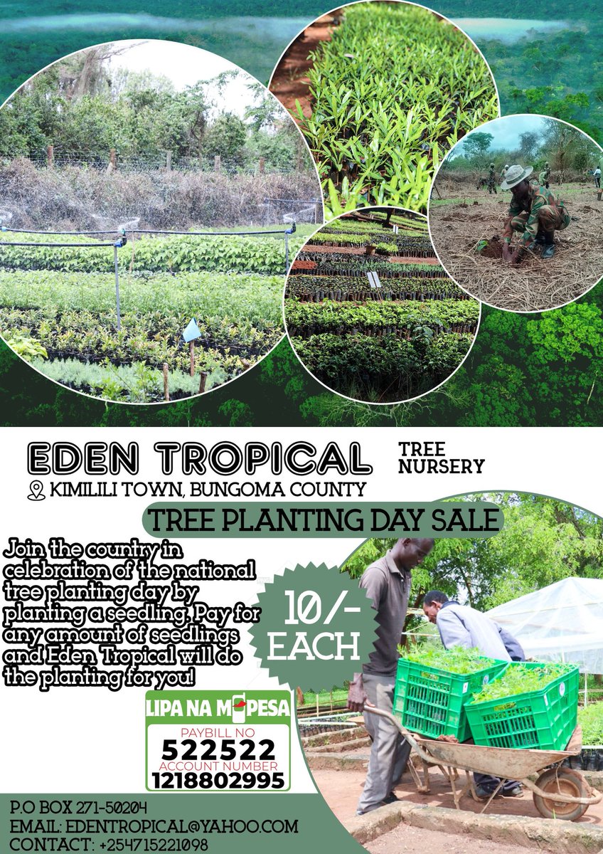 Let's Go Green! Join every Kenyan on 10th May 2024 for the National Tree Planting Day by actively participating in tree planting. EDEN TROPICAL TREE NURSERY HAS A HUGE OFFER FOR EVERYONE! JOIN US...