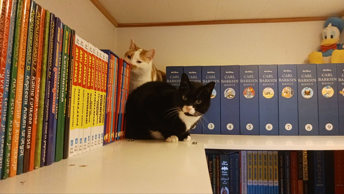 My #cats are adventuring in world of #CarlBarks

#cutecats #adventurecats #catsandcomics #kissakaksikko #seikkailee #sarjakuvahylly #akuankka #theultimatecatfan #disney #keräilyharrastus #suomi #mustakissa #valkoinenkissa