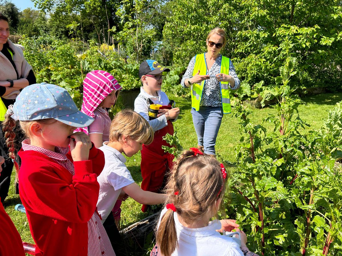 Checkendon CE Primary School tweet media