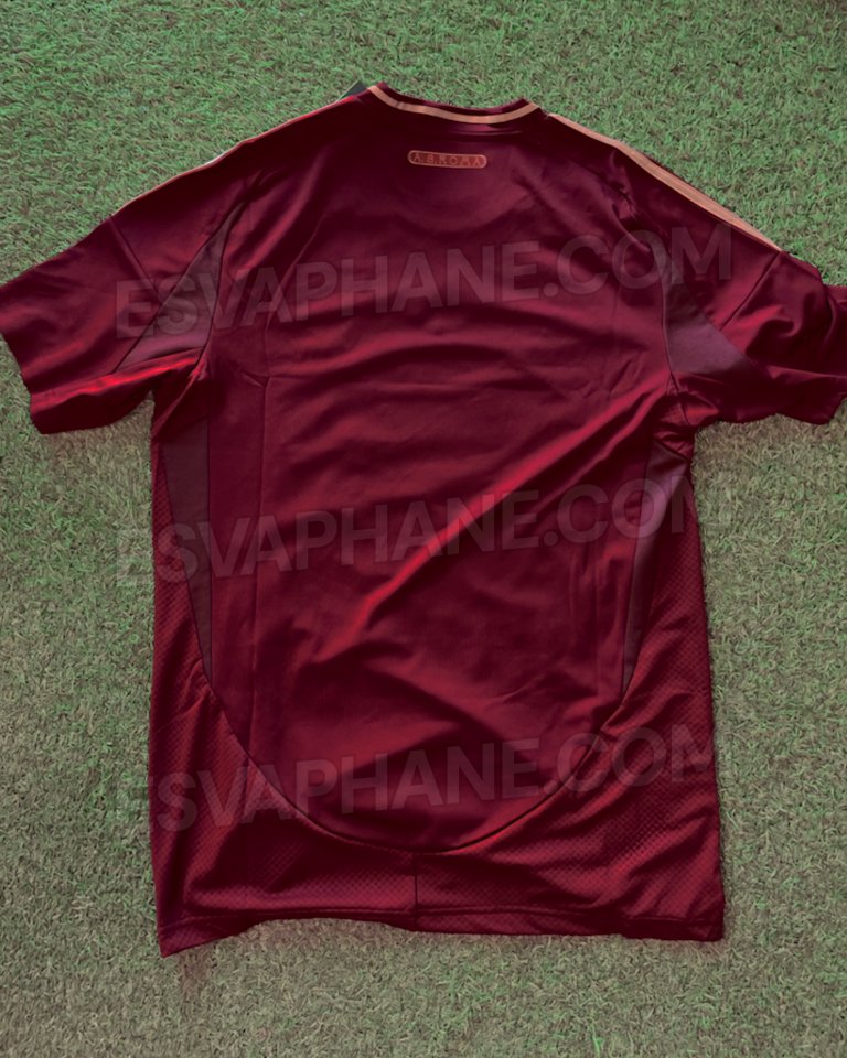 Correct Color: Team Coll Burgundy (Same as Belgium Euro 2024 Home Shirt)