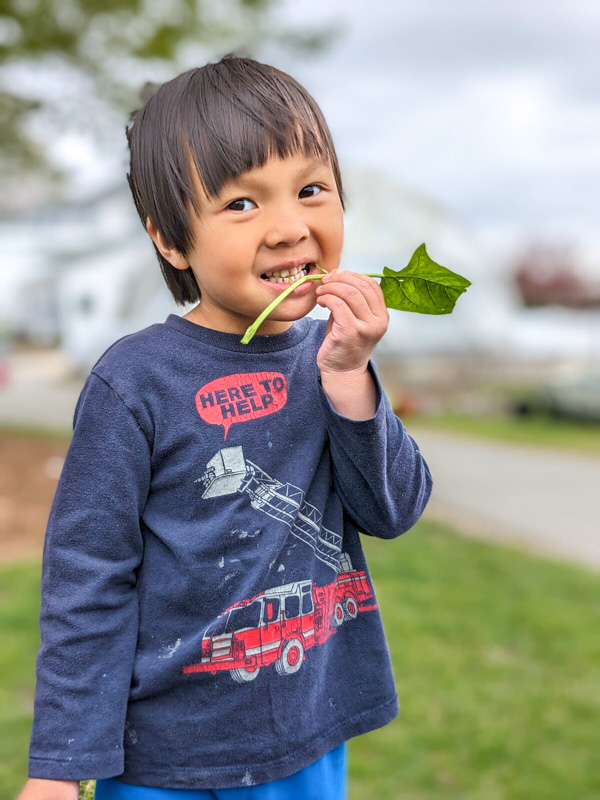 Lexington Montessori tweet media