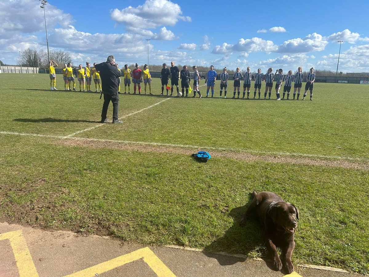 We're deeply saddened to learn of the passing of one of our fans, Mocha

Loved by players, staff and fans he had become our unofficial mascot over the years and we'll all miss him 

Our thoughts are with @mickfox200 🩶🖤

#Notts #COYP #aspire #achieve #Inspire #ncfc #nottscounty