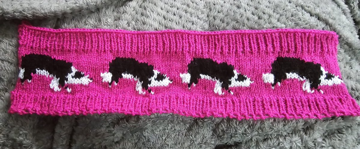 This sure has brightend up my day knitting this Collie Dog headband 💕