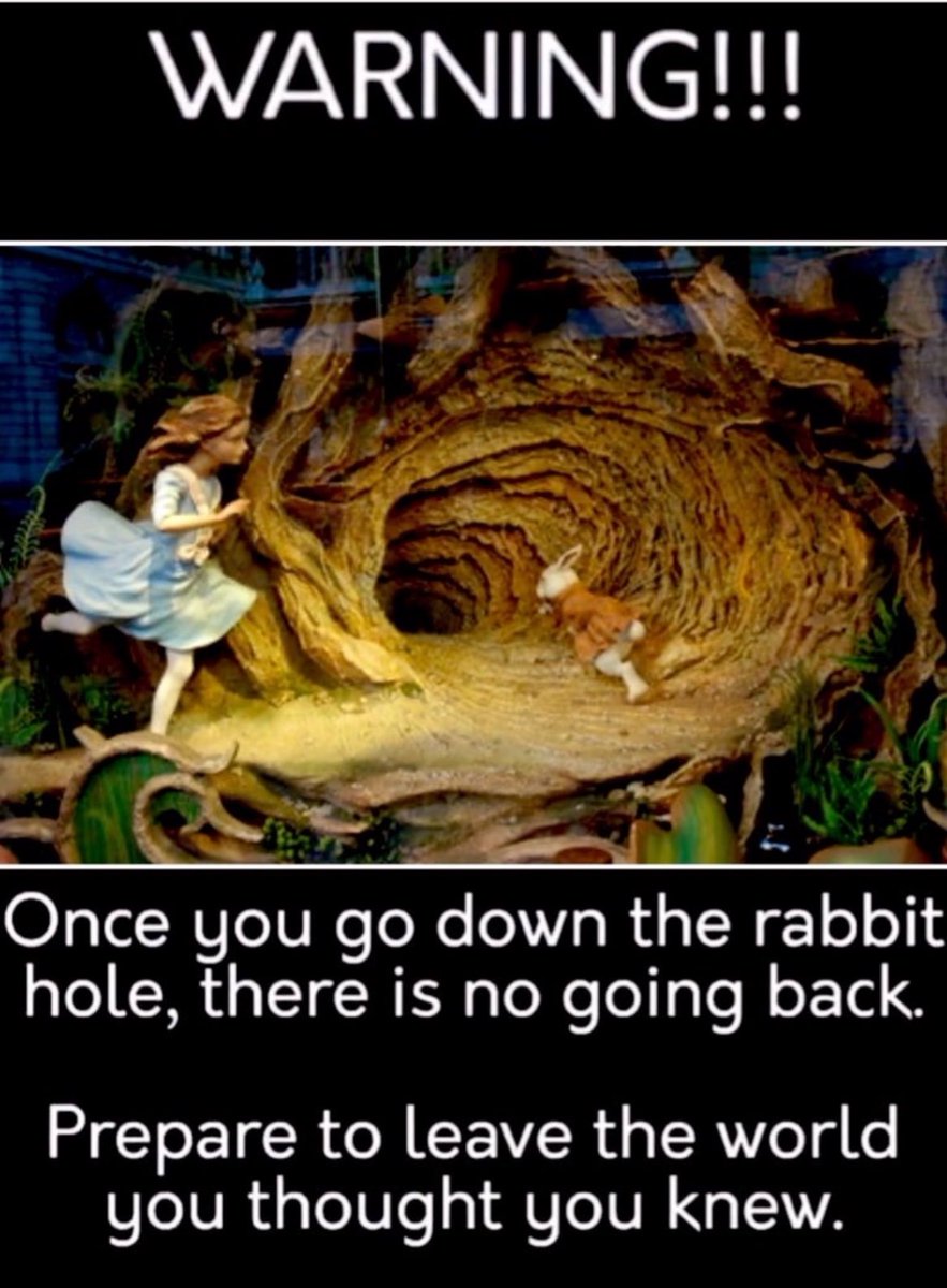 Once you go down the rabbit hole, there is no going back. Prepare to leave the world you thought you knew.
#AliceInWonderland 🃏♦️
#SaveTheChildrenWorldWide 🌿🕊️