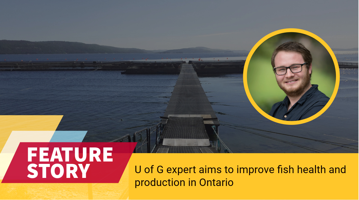 Alliance-funded research aims to improve fish health and production for Ontario’s growing $98-million aquaculture industry by incorporating sustainable ingredients into fish feed 🐟 Read the full story: uoguel.ph/6un76 @DavidHuyben @OntAquaResearch @UofGResearch