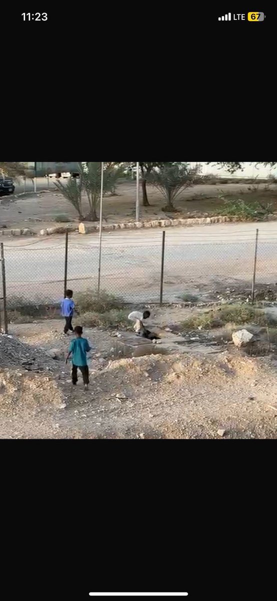 alanoudasaad_'s tweet photo. @MEWA_KSA urgent animal abuse in Alsuwaidi, Riyadh. 6 cats and 8 dogs have been rescued but they continue to mercilessly abuse animals despite being asked to stop!!! #riyadh #ksa

[TRIGGER WARNING] https://t.co/YOGb3xOIWm