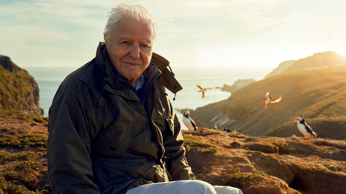 Happy birthday to the inspiring Sir David Attenborough, who reminds us that we all have a part to play in looking after nature. 'This starts and ends with us.'