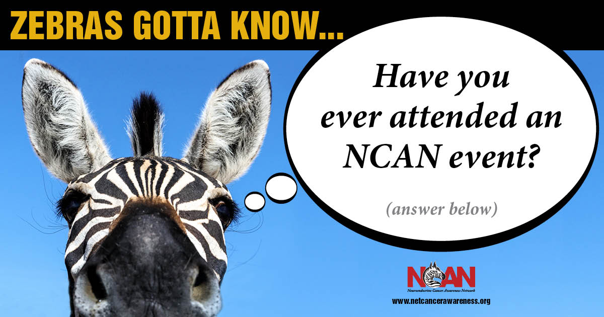 Zebras Gotta Know... Tell us in the comments below. #NeuroendocrineCancer #NeuroendocrineTumor #NETs #ZebraStrong #NETCancerAwareness #NCAN #CancerSupport