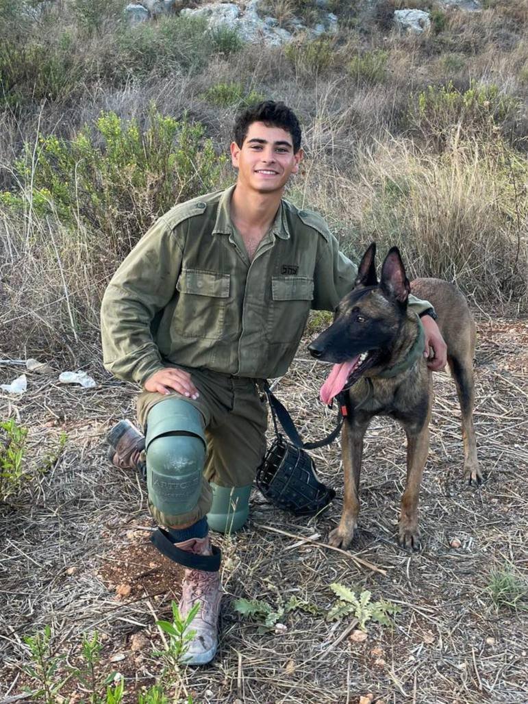Picture of dog with pig,
The dog is alive but the pig has been eliminated🇮🇱🚮