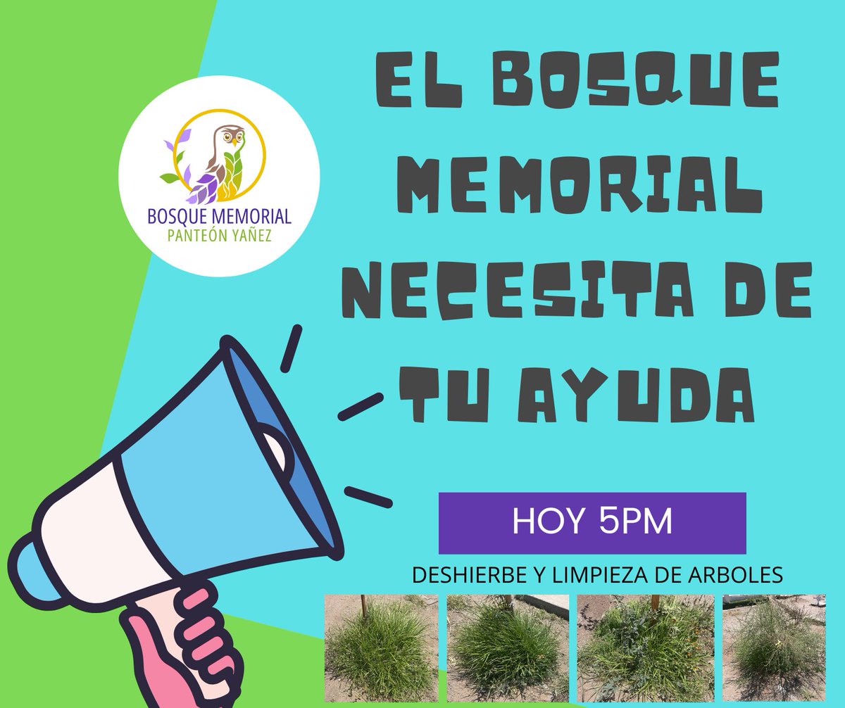 Plantar árboles es fácil, el reto es mantenerlos. Hoy estaremos de 5-8PM en el Panteón Yáñez dando mantenimiento al Bosque Memorial, ya son 700 árboles los que se han plantado y todo debe quedar rechinando de limpio antes del Viernes. ¿Nos echas la mano? ¡RT también ayuda!