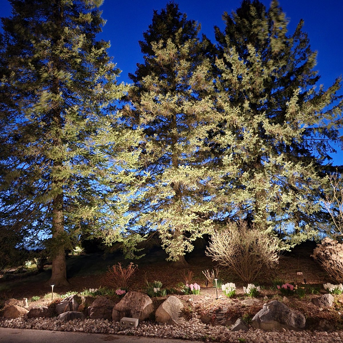 Dauer Manufacturing tweet media