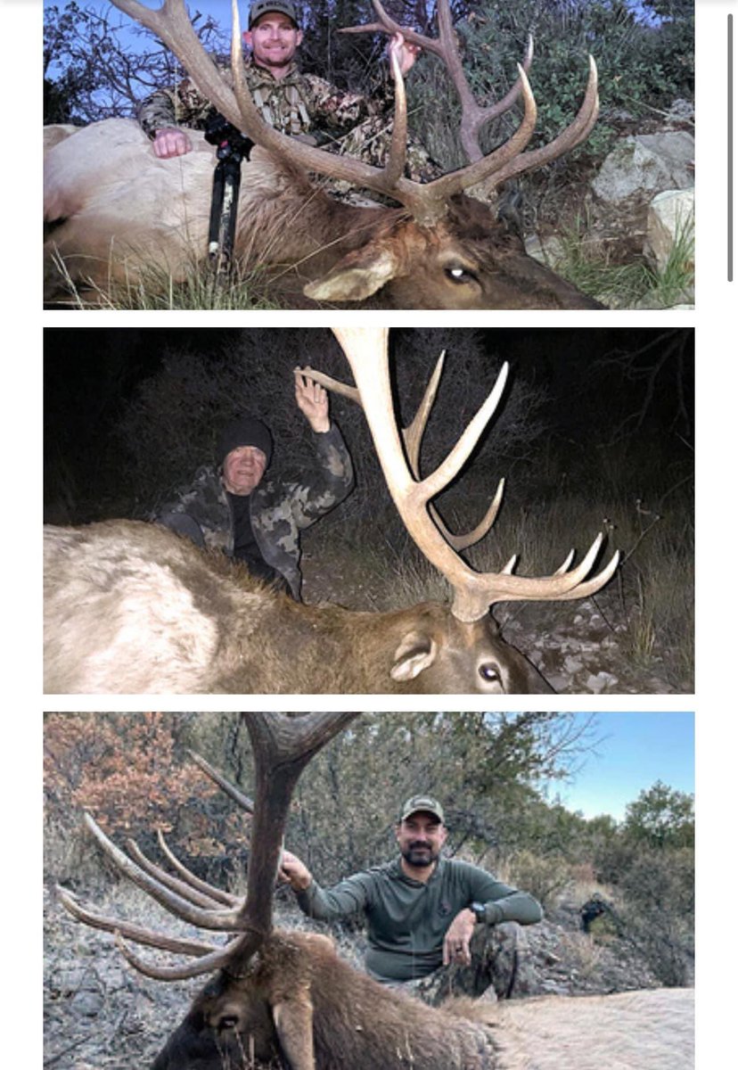 We still have some landowner tags available for New Mexico elk hunts in 2024!

Different options for archery and rifle hunts.

Let me know if you’re still looking for an elk hunt!

#findyouradventure