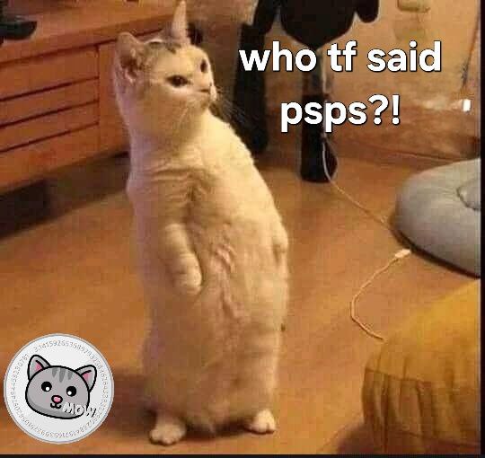 @patty_fi With #BobaCat in the top! 😻💪🏼 Lets go $PSPS