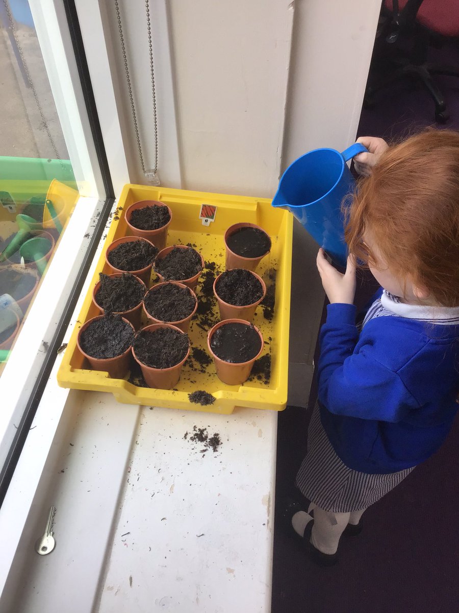 In English we planted some vegetables and we can’t wait for them to grow 🥒🥕🪴 #oliversvegetables #year1 #english @StPPPrimary