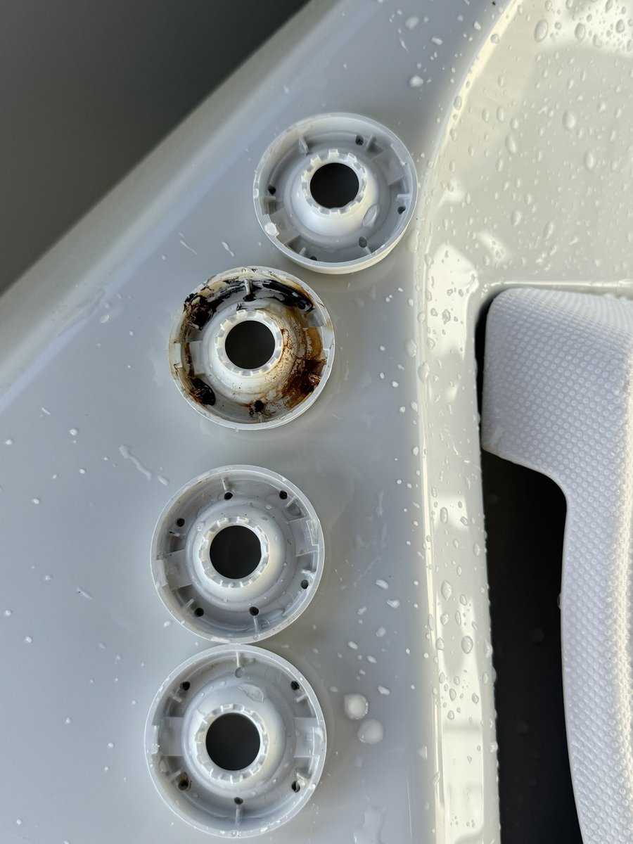 Queen bay tweet media