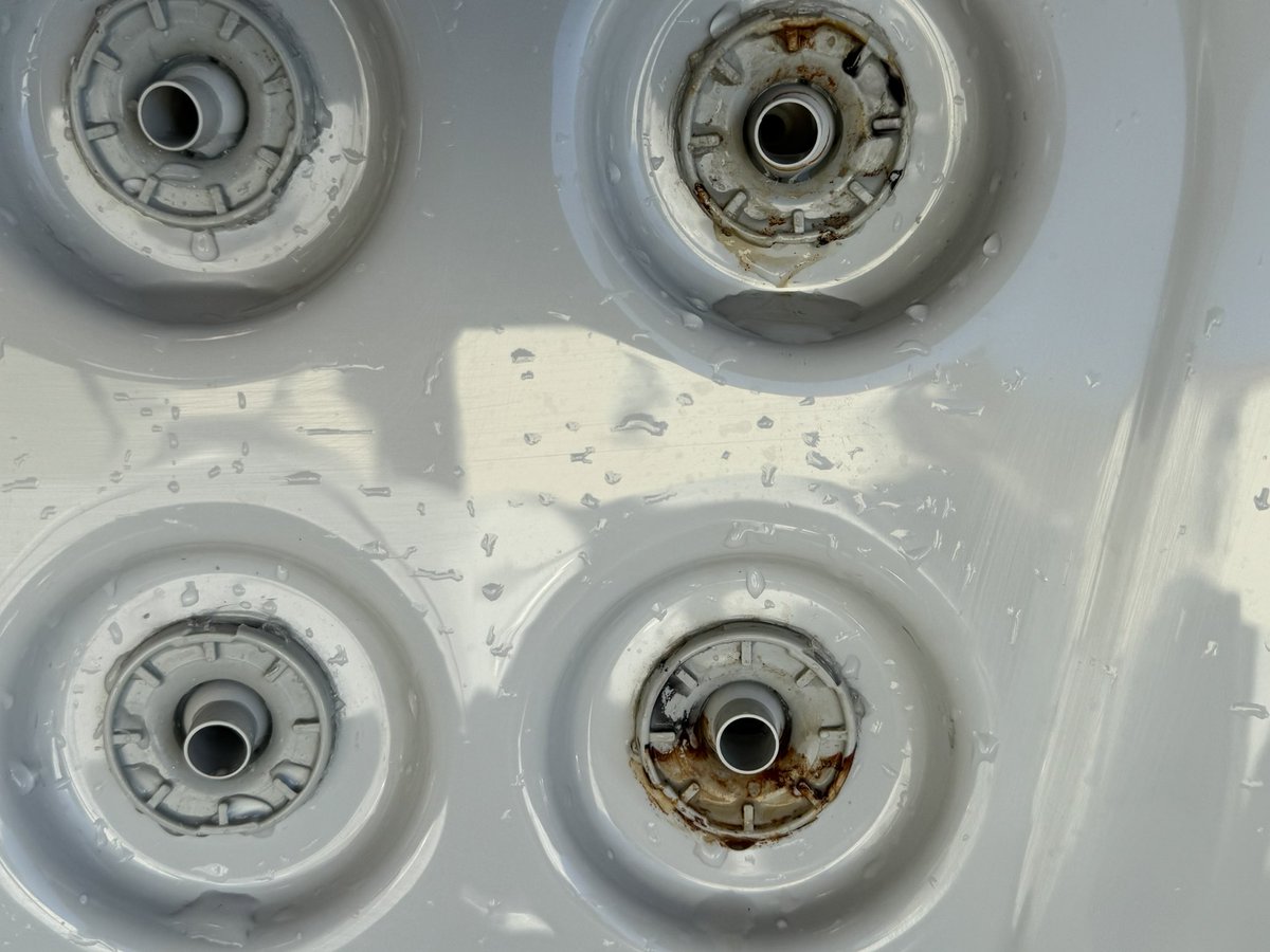 Queen bay tweet media